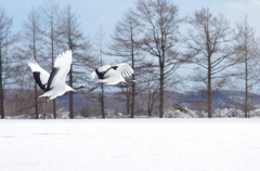 飛び立ち　－３