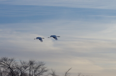 鶴居村の夕景ー１