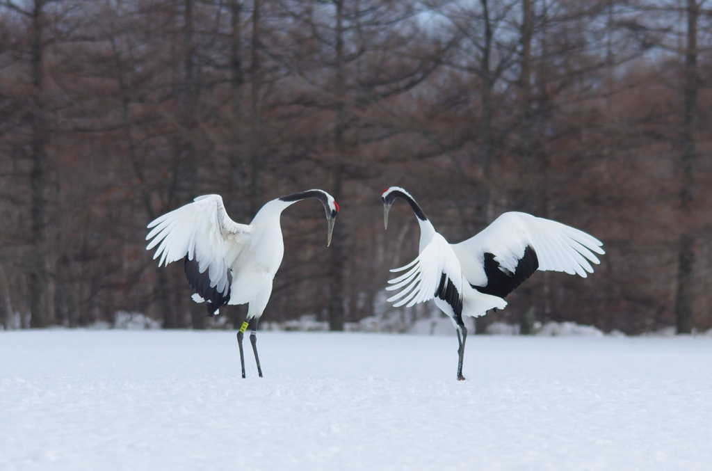 熱い思い　－７