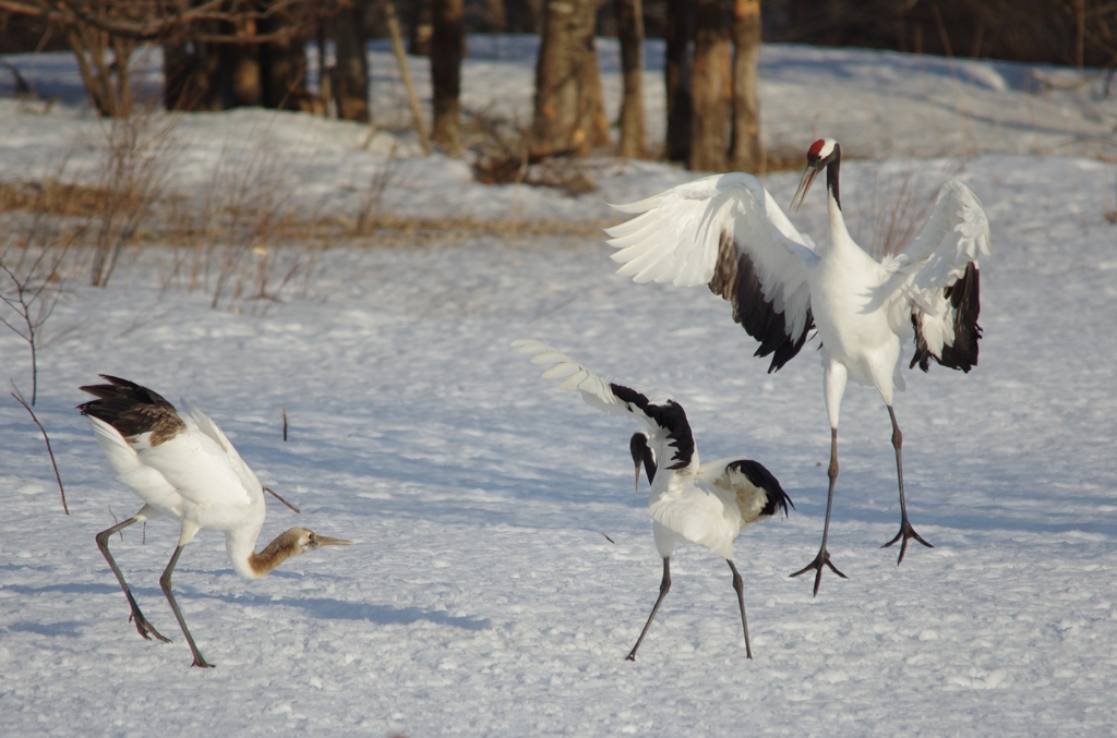 子別れの季節ー２