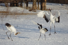 子別れの季節ー２