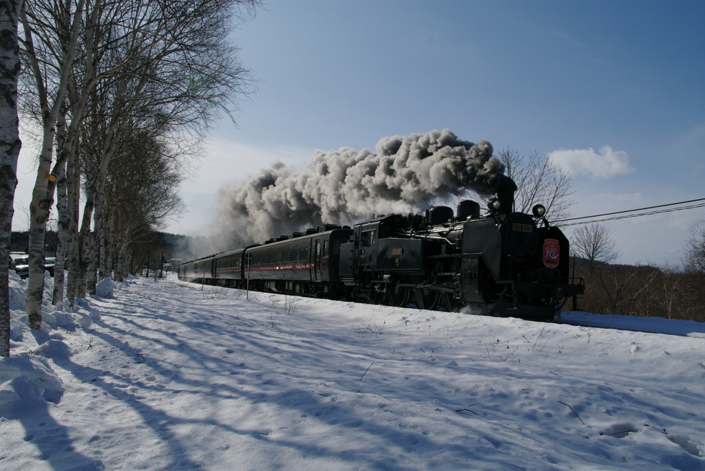 IMGP3912
