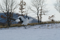 愛のタンゴー６