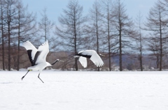 飛び立ち　－１