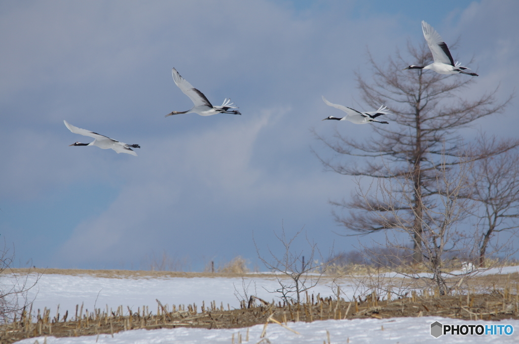鶴居村の空ー７