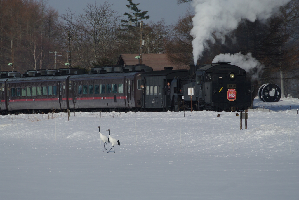 IMGP4721