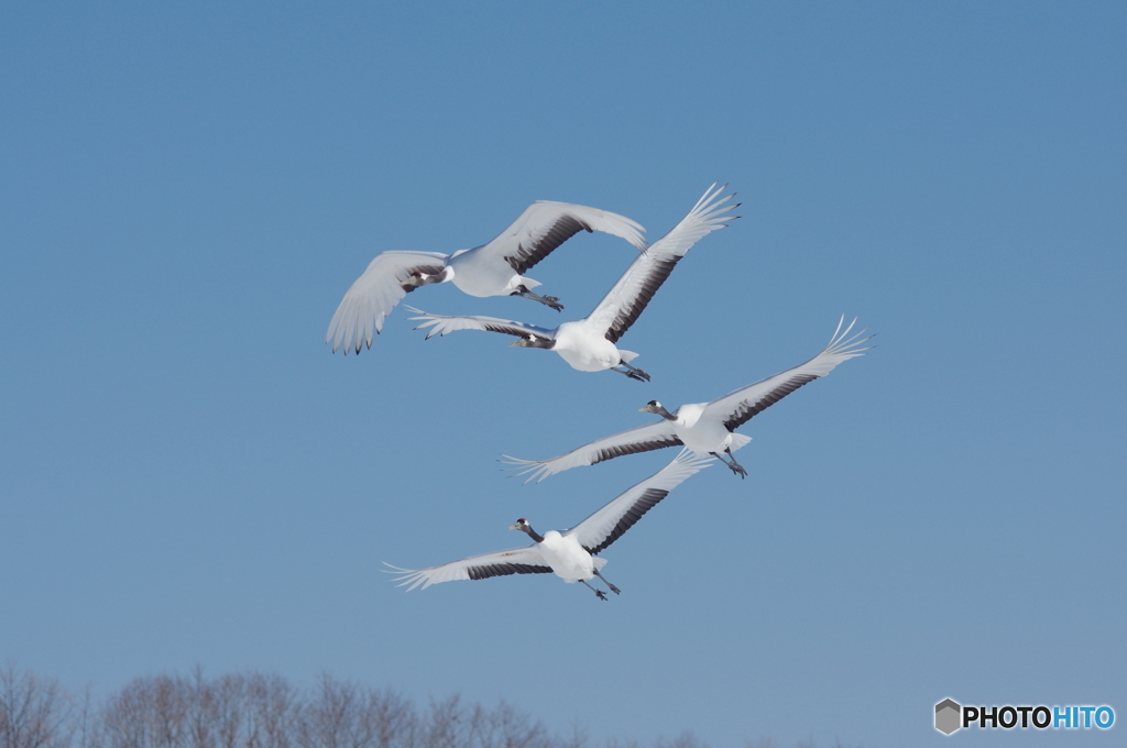鶴居村の空ー８