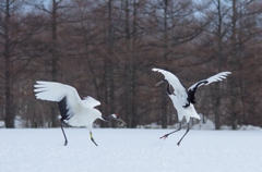 熱い思い　－５