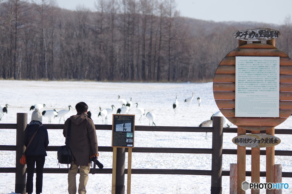 タンチョウの里