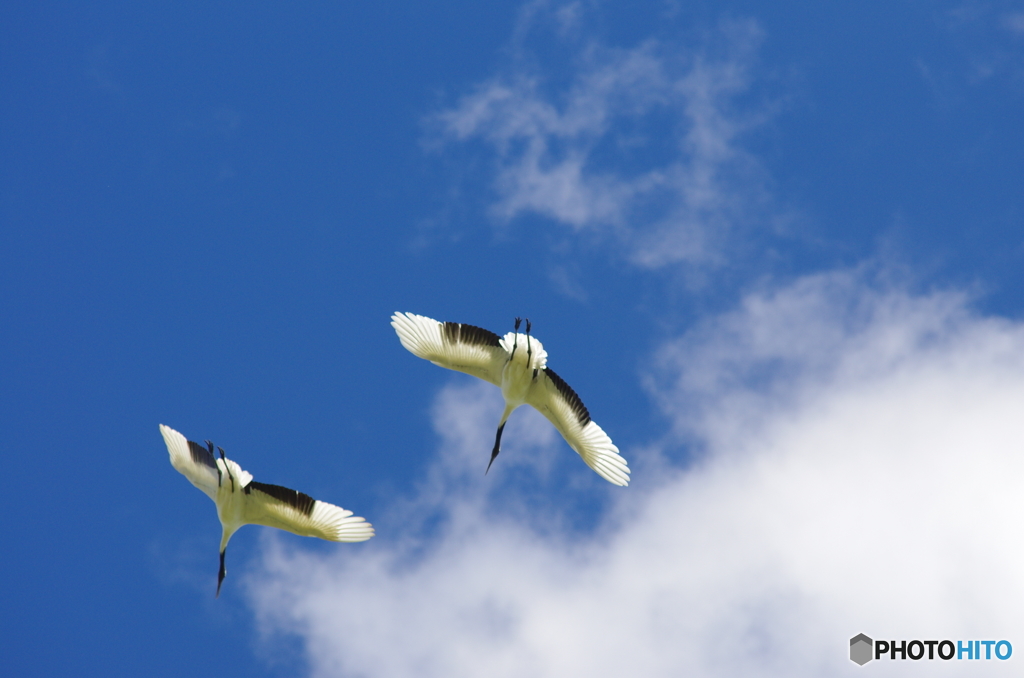 後ろからゴメン