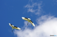 後ろからゴメン