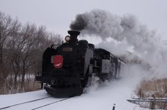 遠矢