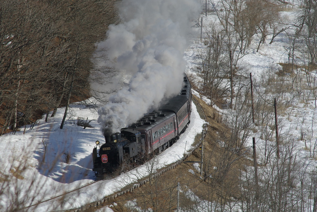 IMGP4258