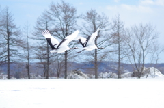 飛び立ち　－５