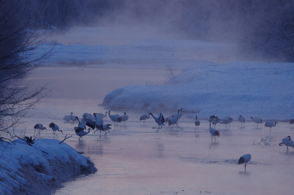 鶴居村の朝　-1（-19，2度）