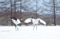 熱いおもい　－６