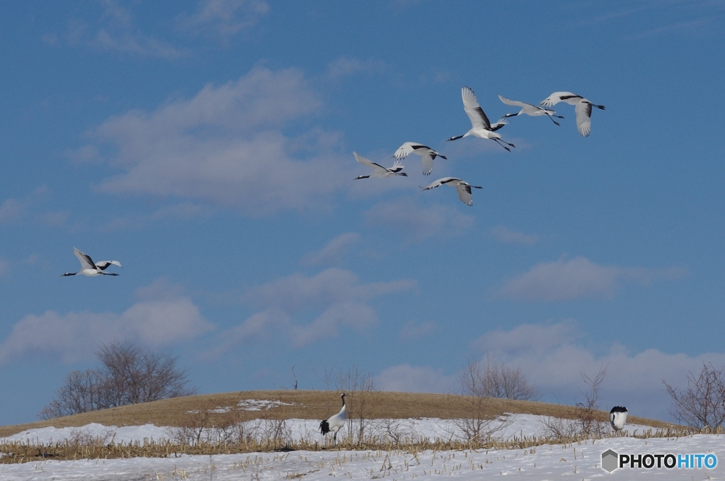 鶴居村の空ー６