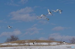 鶴居村の空ー６