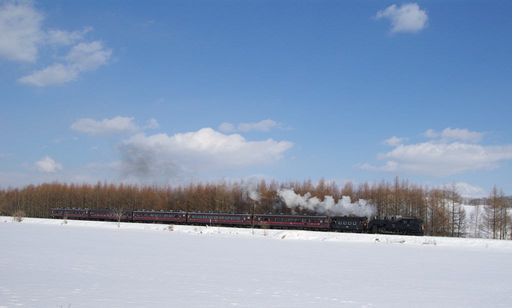 IMGP2810