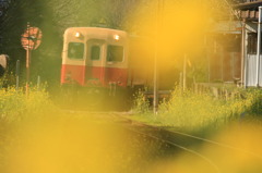 なの花電車