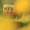 なの花電車