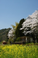 春の小湊鉄道