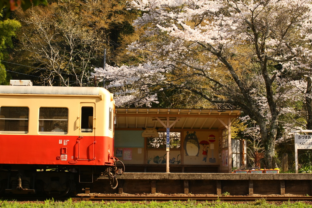 トトロのえき