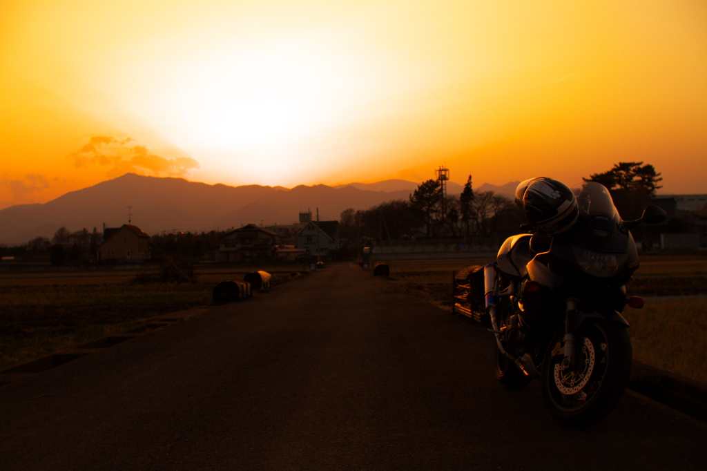 相棒と夕日