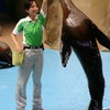 良く出来ました～