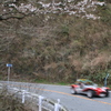 IMG_4907