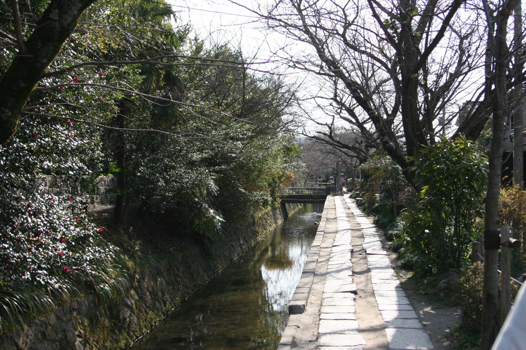 哲学の道