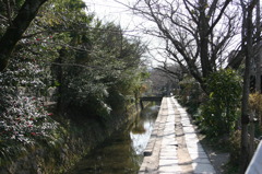 哲学の道