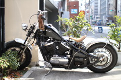アメリカン