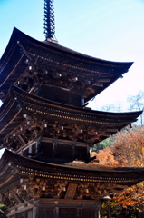 前山寺の三重塔と紅葉
