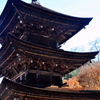 前山寺の三重塔と紅葉