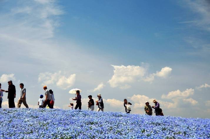 Walking in the sky