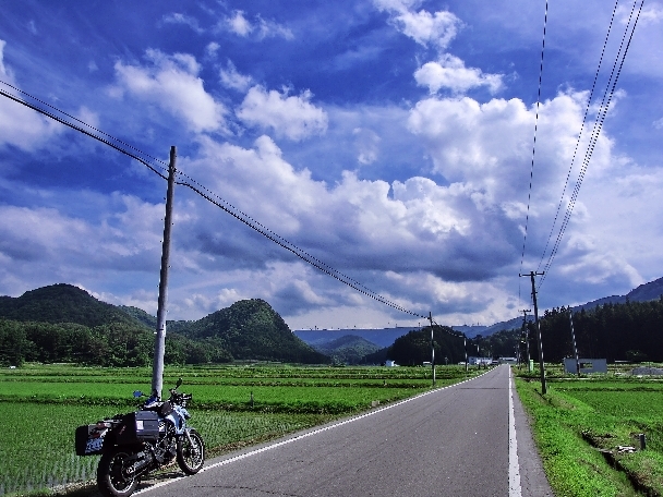 遠く風車を臨む