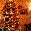 家族写真とクリスマス