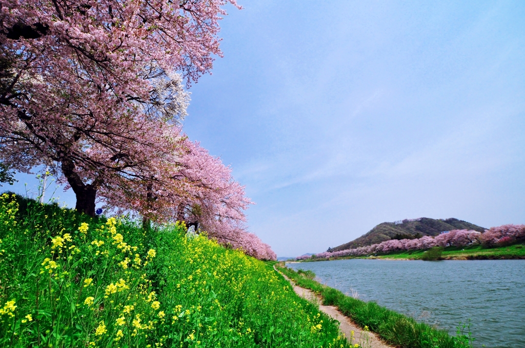 小春日和