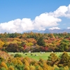牧場の紅葉
