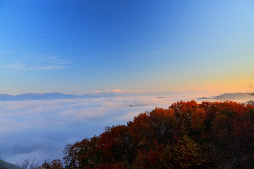 ピンクの雲海、赤い紅葉