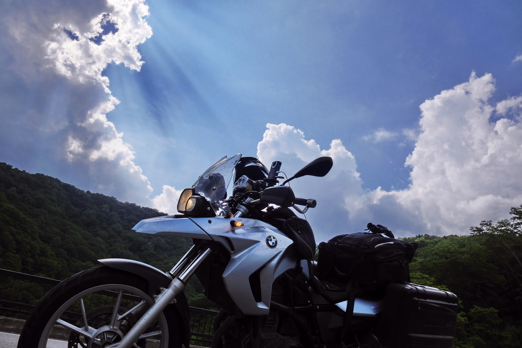 夏の日差し