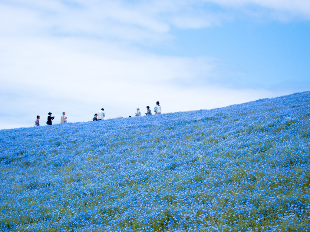 Blue Planet