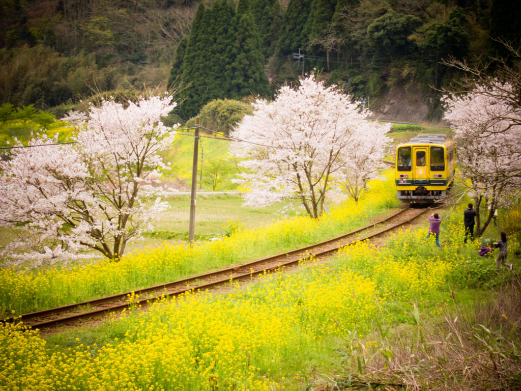 いすみ鉄道