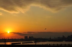 冬空