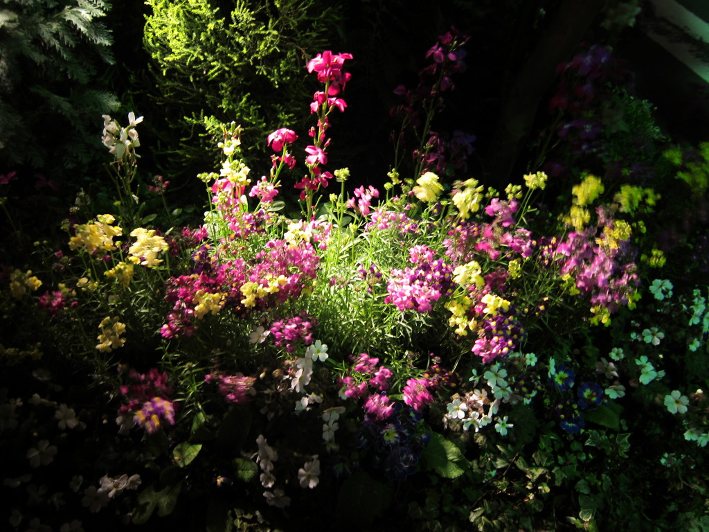 スポットライト