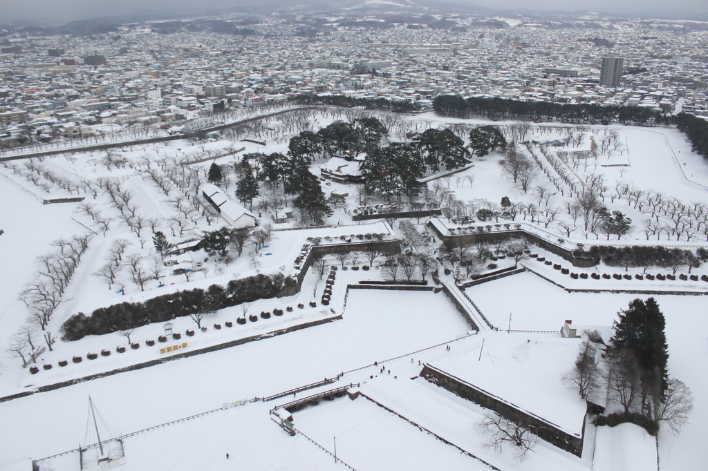 雪化粧の五稜郭