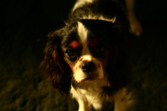 まあ、そうにらむなよ。