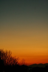 夕日