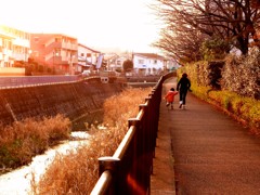 散歩道